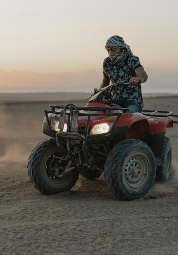 Сафари Экскурсии