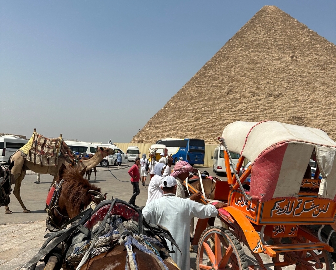 12Tour Giornaliero alle Piramidi del Cairo in Autobus da Sharm El Sheikh – Museo Egizio