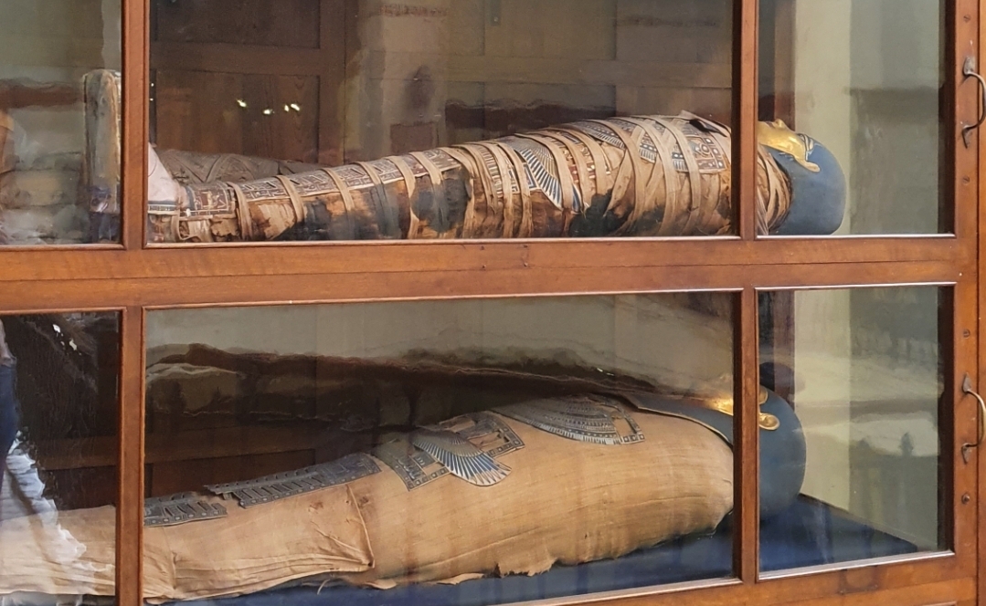 5Tour Giornaliero alle Piramidi del Cairo in Autobus da Sharm El Sheikh – Museo Egizio
