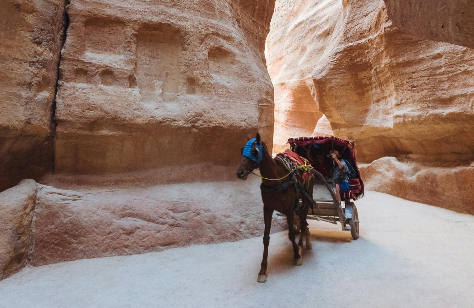 3Petra Day Tour from Sharm El Sheikh (Jordan)