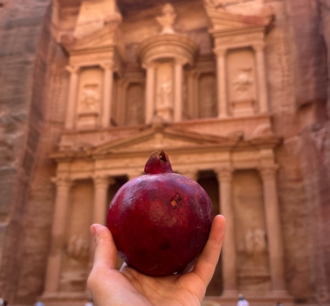 21Petra Day Tour from Sharm El Sheikh (Jordan)