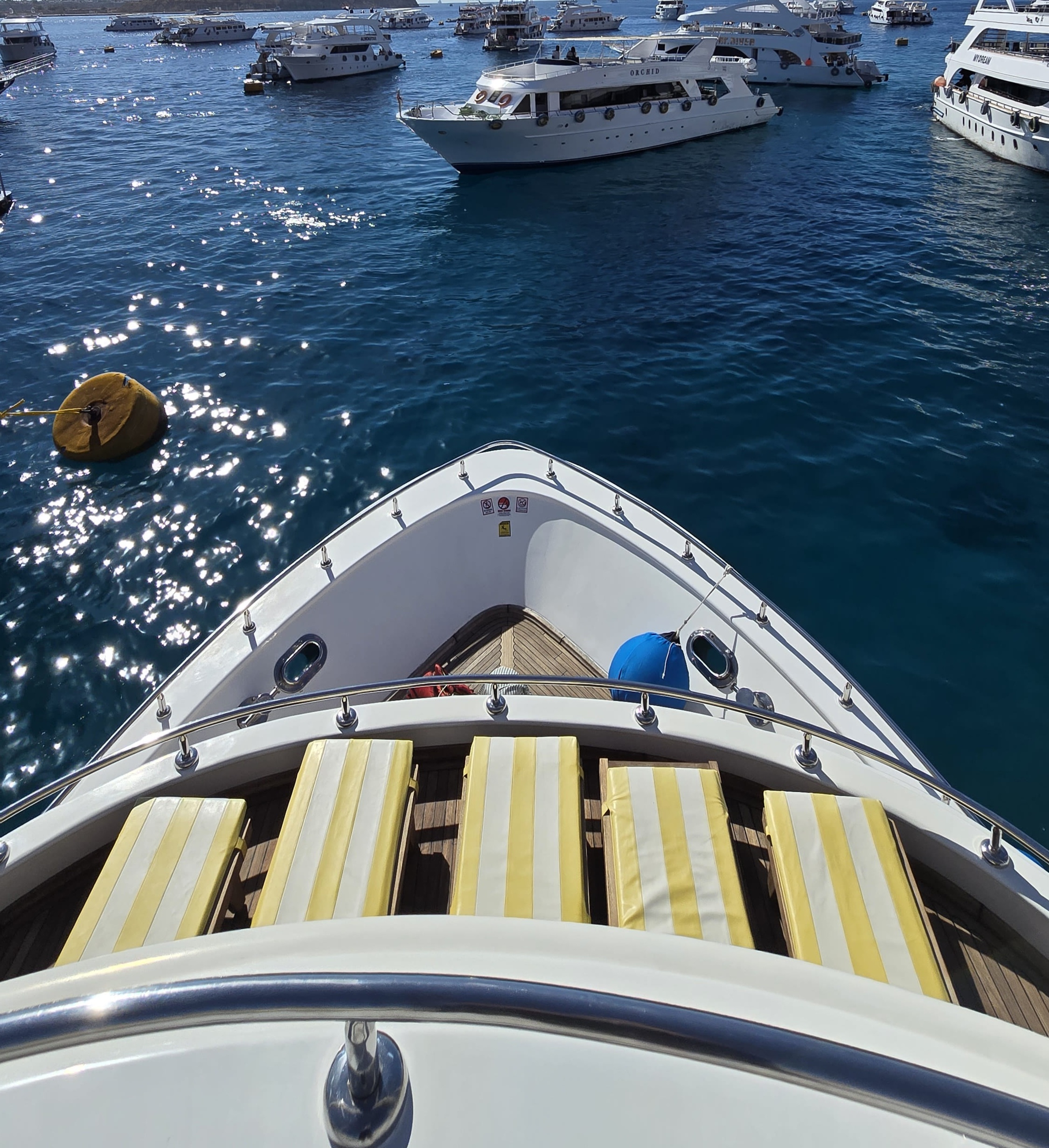 6Elite VIP Yacht Cruise to White Island – Ras Mohammed