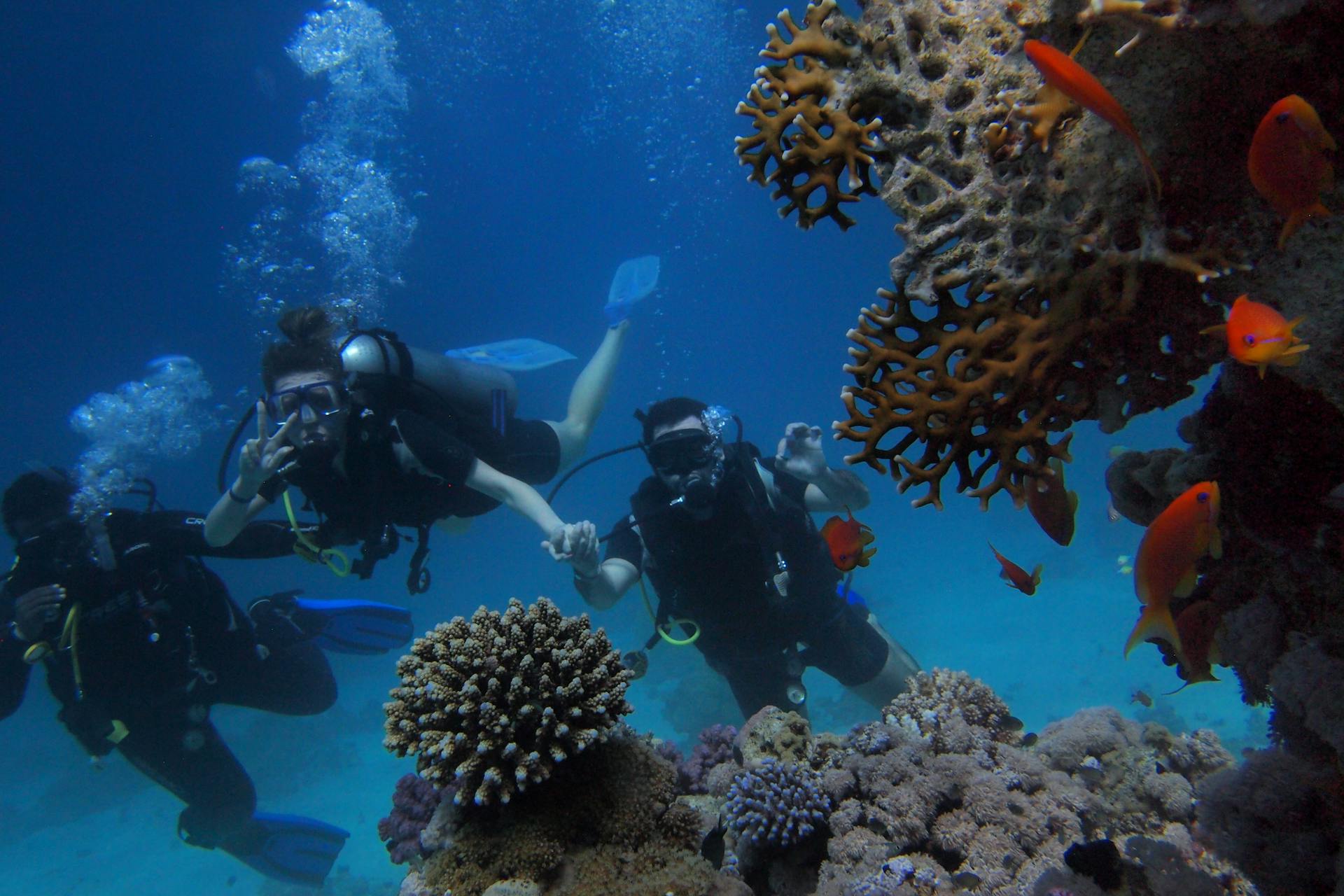 7Gita in barca all’Isola di Tiran da Sharm El Sheikh