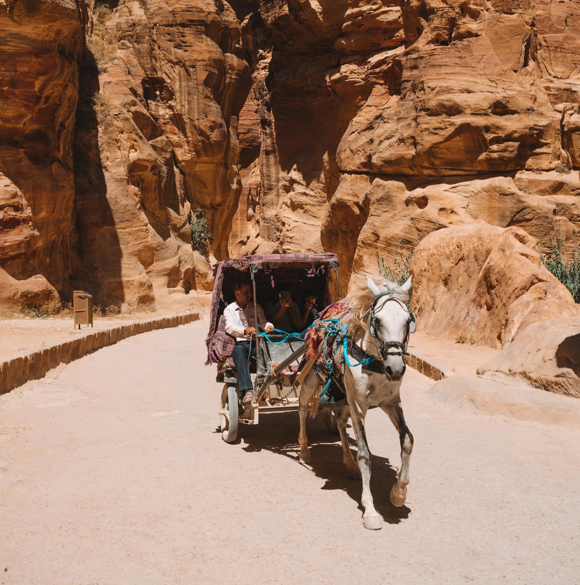 6Petra Day Tour from Sharm El Sheikh (Jordan)