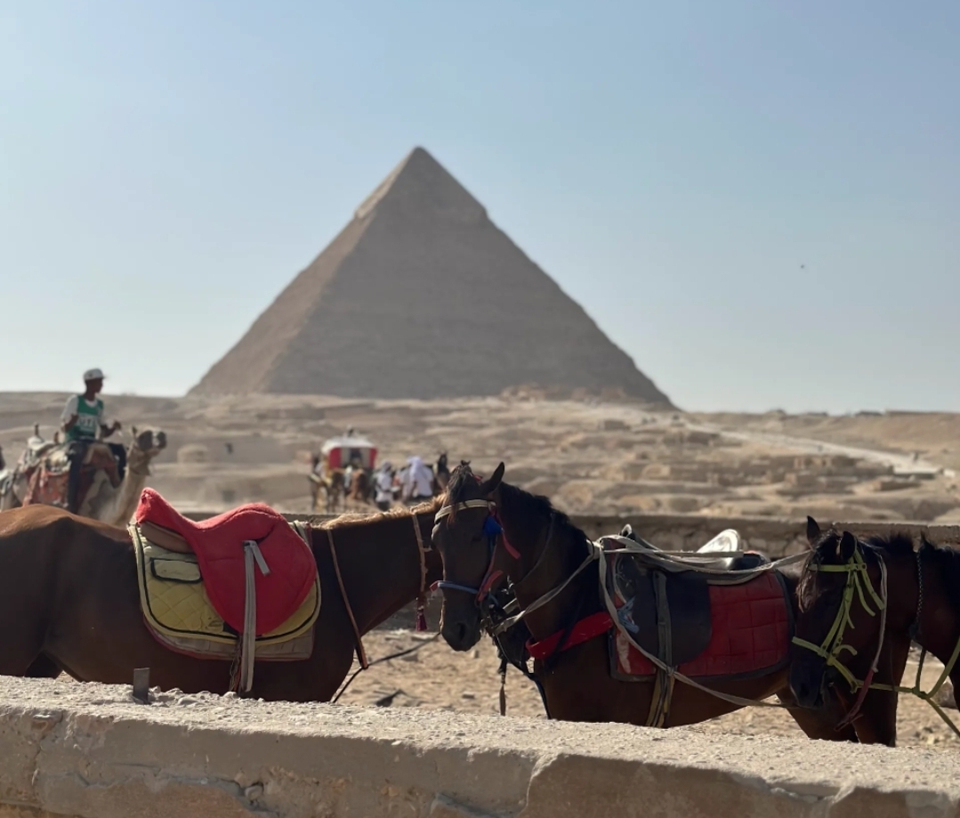11Tour Giornaliero alle Piramidi del Cairo in Autobus da Sharm El Sheikh – Museo Egizio